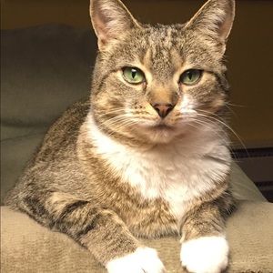 Meet your Posher, Jamie